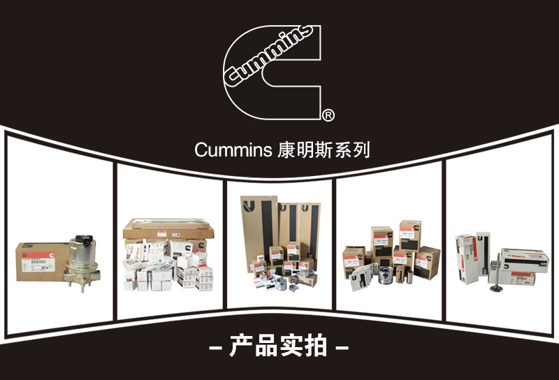 康明斯_01.jpg